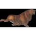 SEA LION PIN